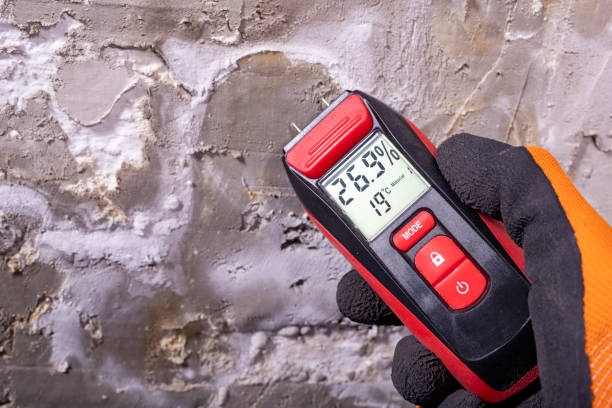 Best Emergency Mold Removal  in Maine, WI