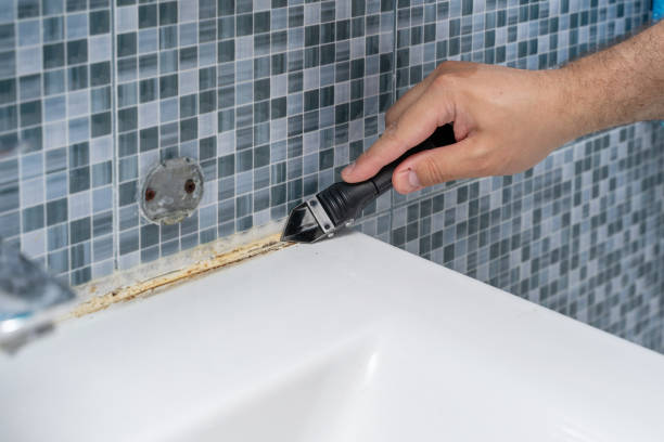 Best Professional Mold Removal  in Maine, WI